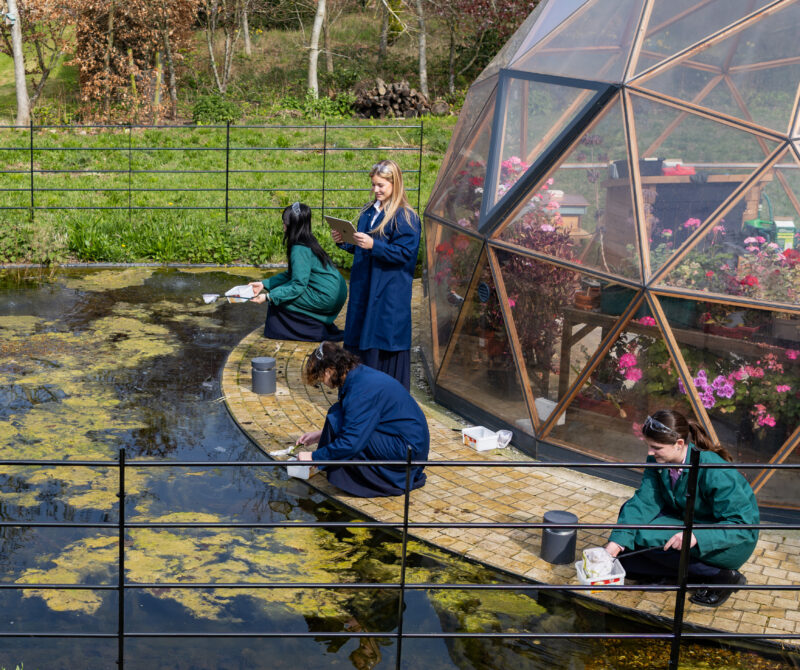 Haileybury Launches Impact Research Report